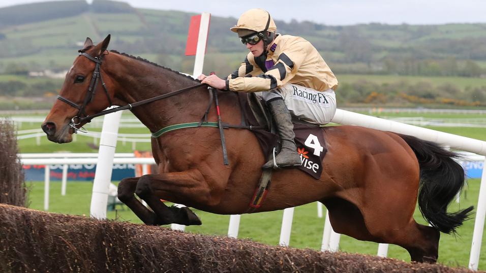 Horse racing trainer Willie Mullins